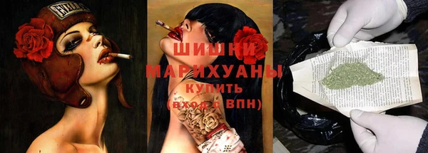 шишки Вязники