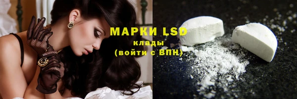 шишки Вязники