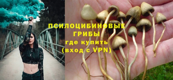 спиды Вязьма